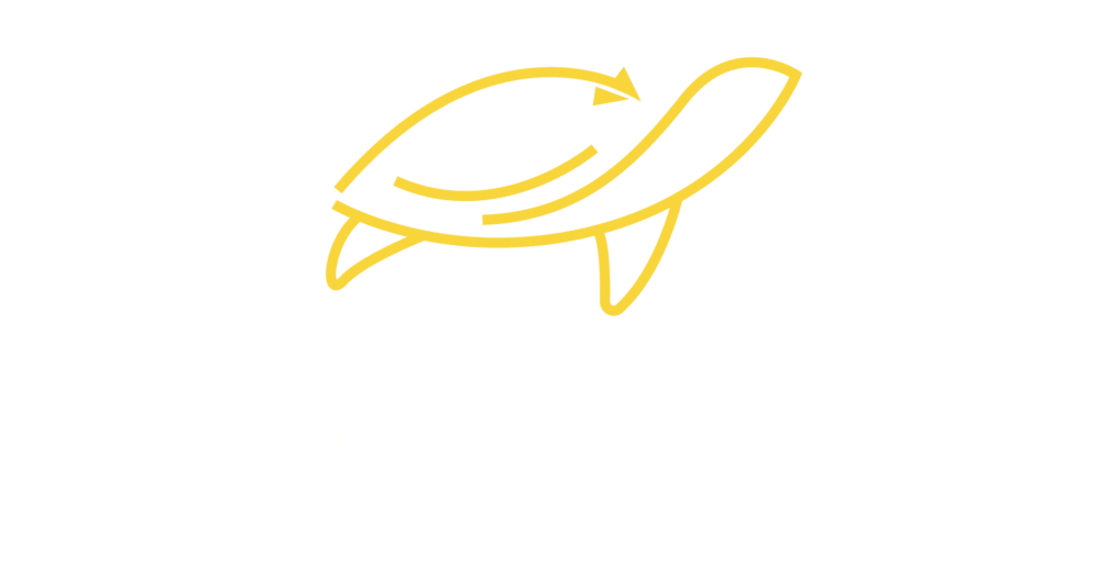Seventh Tortoise LLC