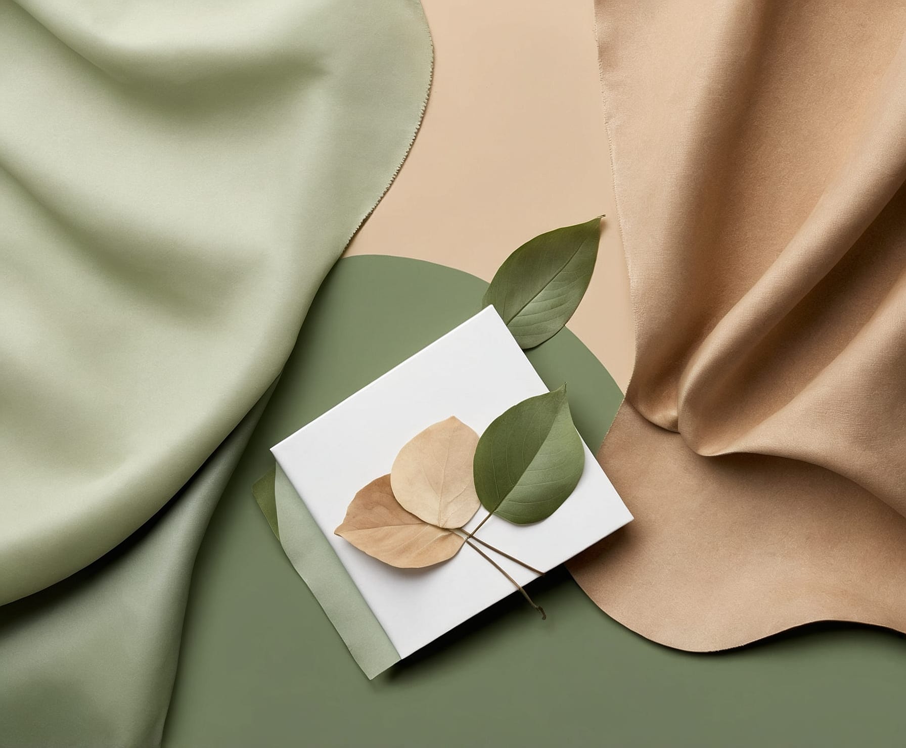 Identidad visual de moda ética sostenible.